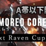A帯以下限定大会『Next Raven Cup #5』【Steam版】