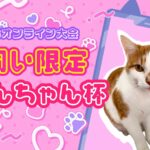 猫飼い限定「にゃんちゃん杯」