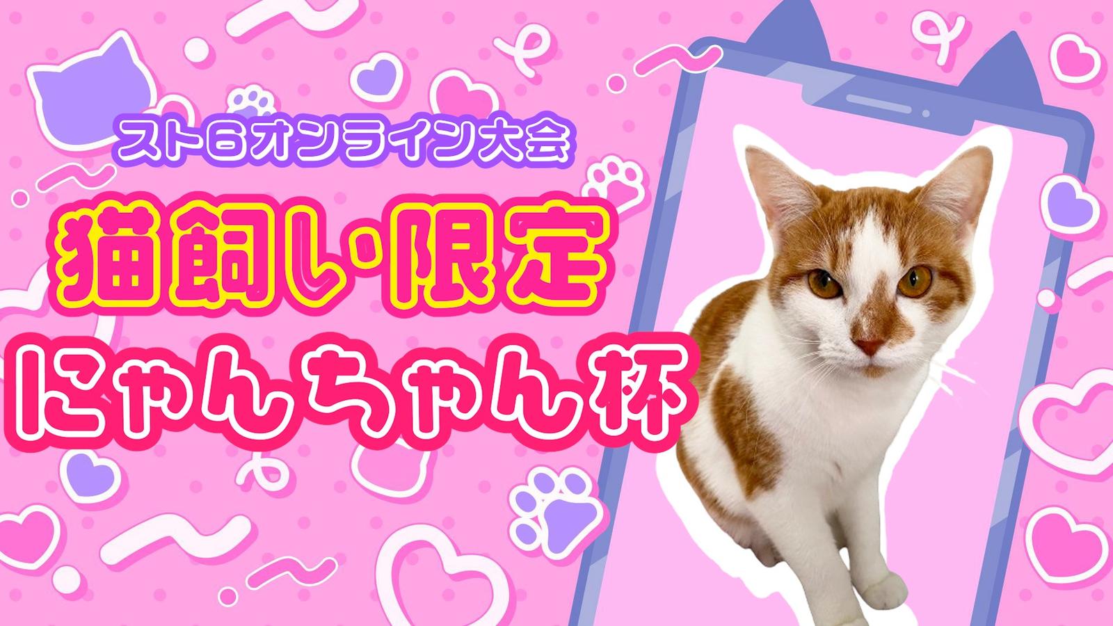 猫飼い限定「にゃんちゃん杯」