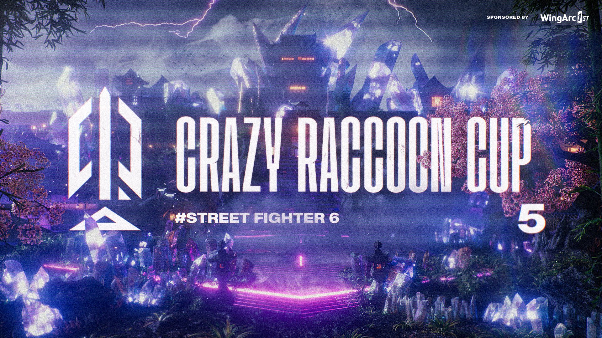 第5回 Crazy Raccoon Cup Street Fighter 6