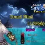 【MST】みんスポ Shadowverse Tournament Grand Final