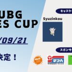 PC版PUBG 9INES CUP