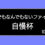 サブでもなんでもないファイター 自慢杯