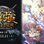 Shadowverse 最強チーム決定戦 powered by RAGE 北海道予選