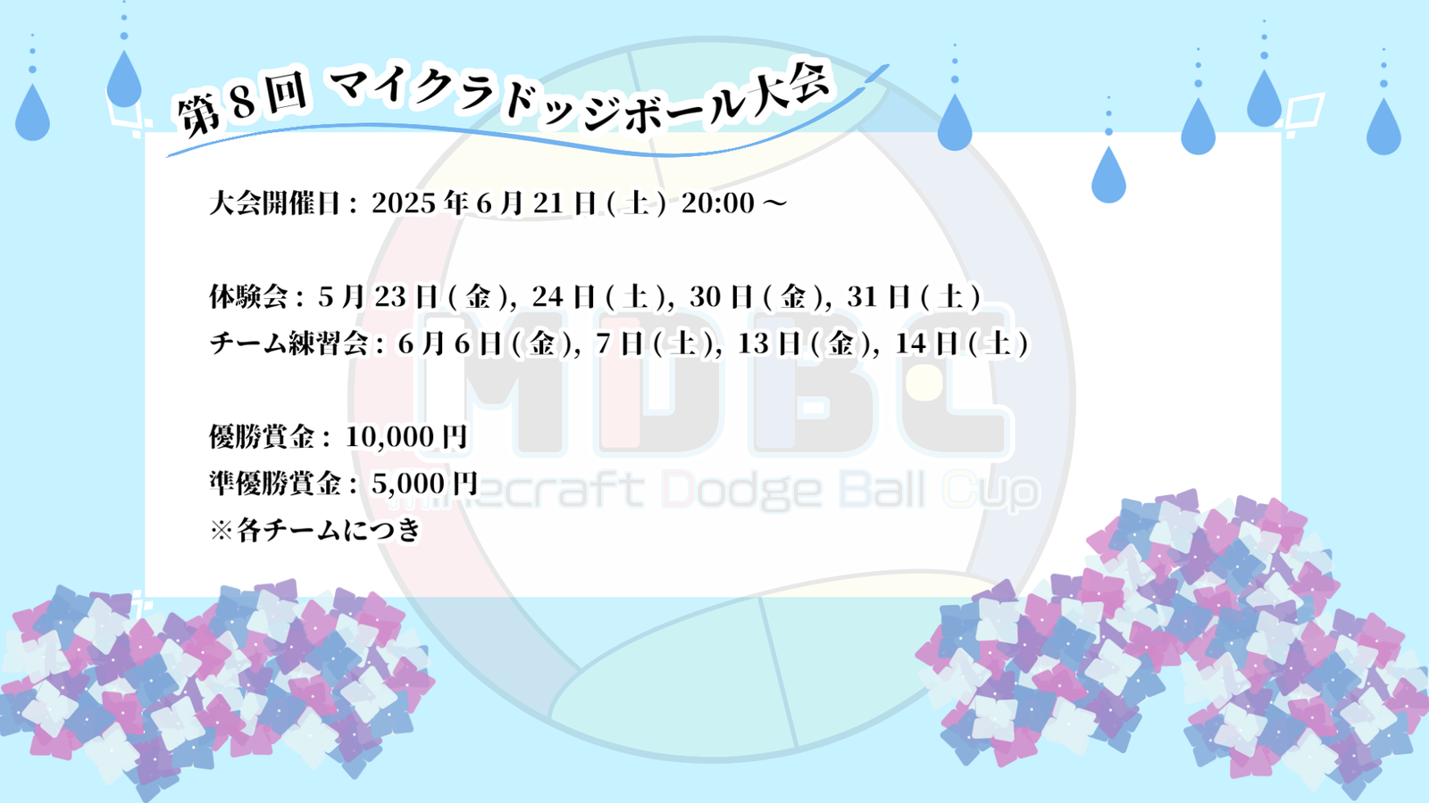 MDBC 第8回マイクラドッジボールカップ