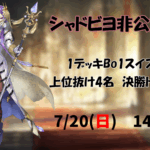 シャドビヨ非公認大会　in 岐阜