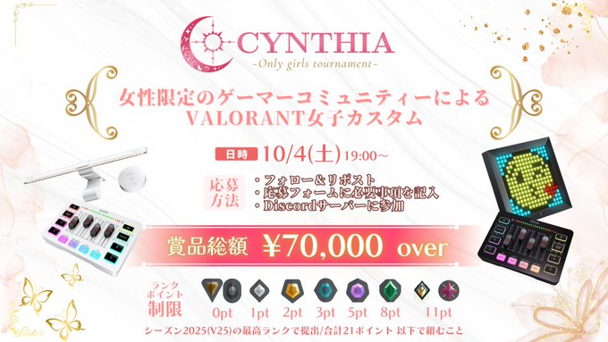 CYNTHIA VALORANT Vol.15