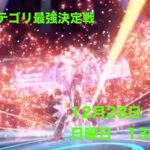 シニアカテゴリ最強決定戦