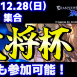 第45回 大将杯 GBVSR部門